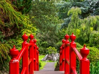 Irish National Stud & Gardens